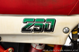 Ostatní značky Ostatní modely Puch INDOOR 250 1986