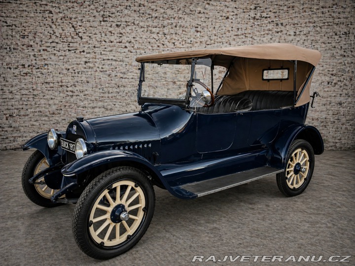 Buick Ostatní modely D 35 REZERVACE 1917