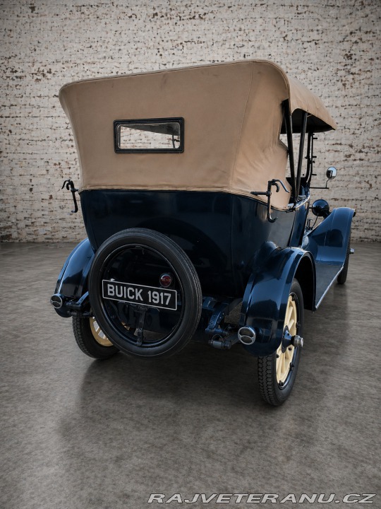 Buick Ostatní modely D 35 1917
