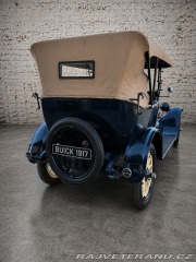 Buick Ostatní modely D 35 1917