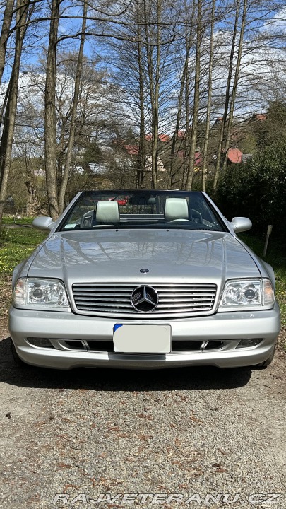 Mercedes-Benz SL SL500 Silver arrow (R129) 2001