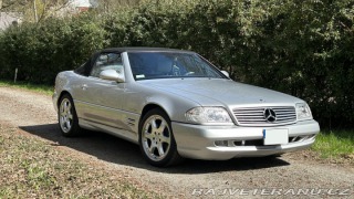 Mercedes-Benz SL SL500 Silver arrow (R129) 2001