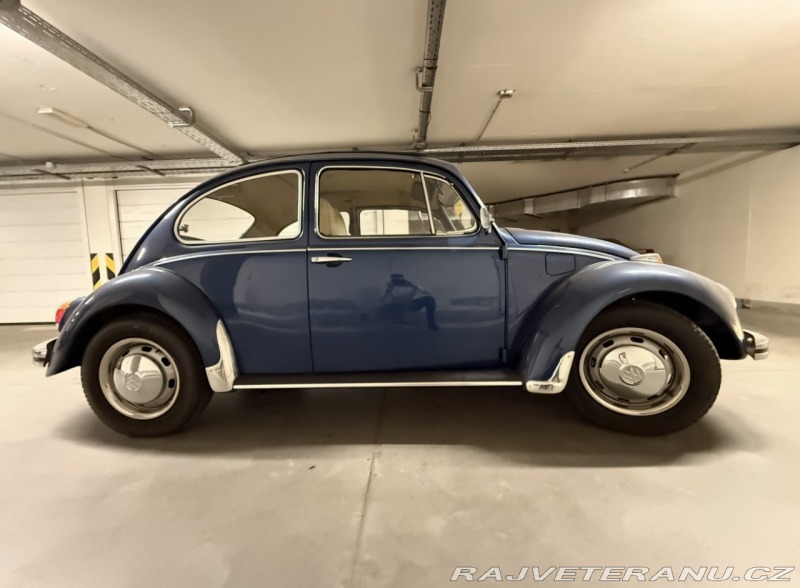 Volkswagen Brouk 113