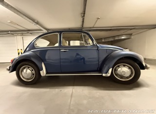Volkswagen Brouk 113