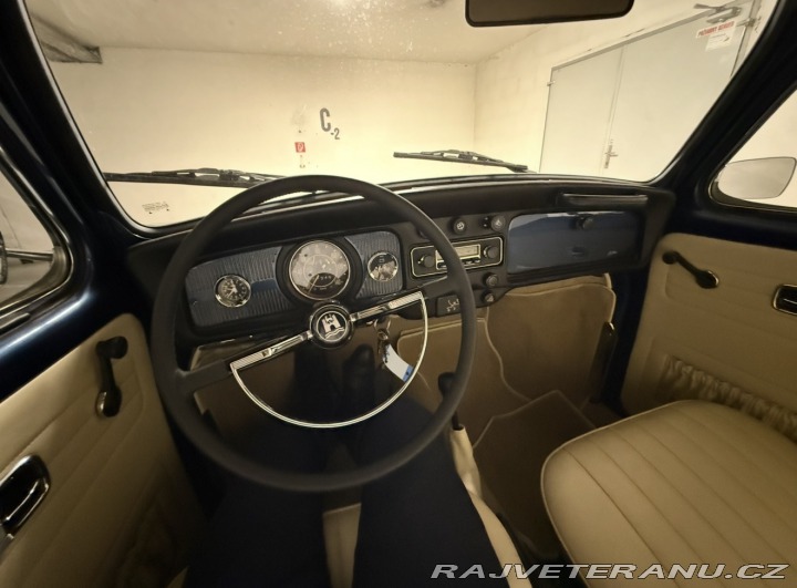 Volkswagen Brouk 113 1969