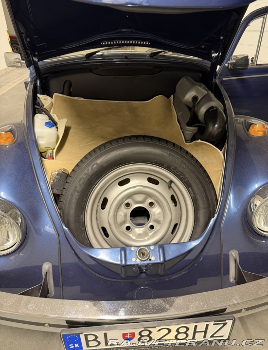 Volkswagen Brouk 113 1969