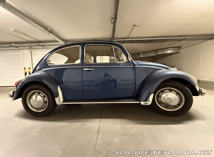 Volkswagen Brouk 113 1969