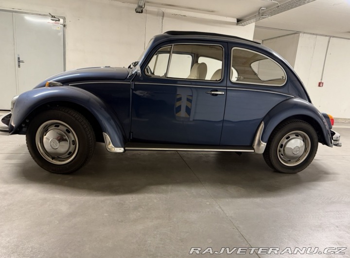 Volkswagen Brouk 113 1969