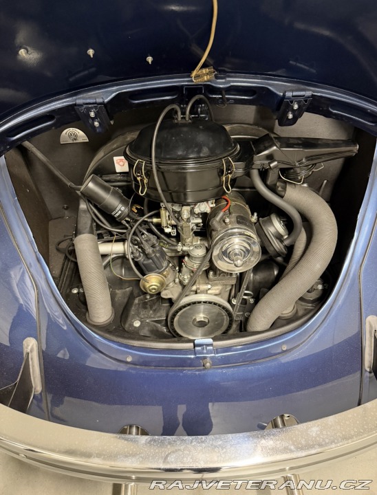 Volkswagen Brouk 113 1969