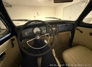 Volkswagen Brouk 113 1969