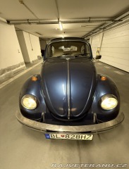 Volkswagen Brouk 113 1969