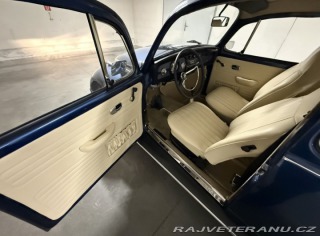 Volkswagen Brouk 113 1969