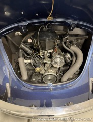 Volkswagen Brouk 113 1969