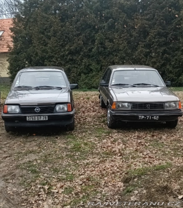 Peugeot 305 GT 1983
