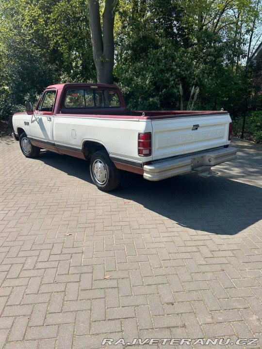 Dodge D d150 1986