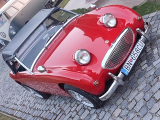 Austin Healey 