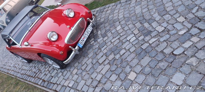 Austin Healey  1959