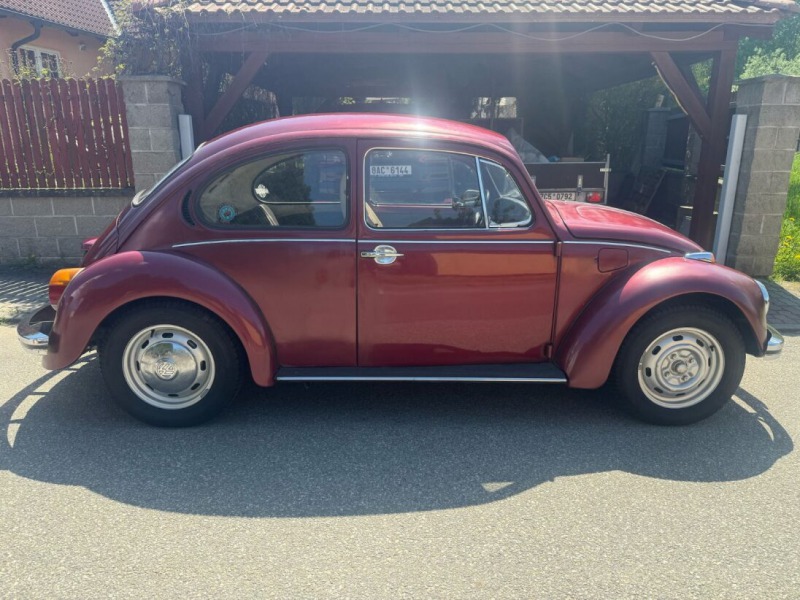 Volkswagen Brouk 