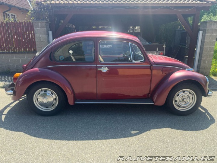Volkswagen Brouk  1974