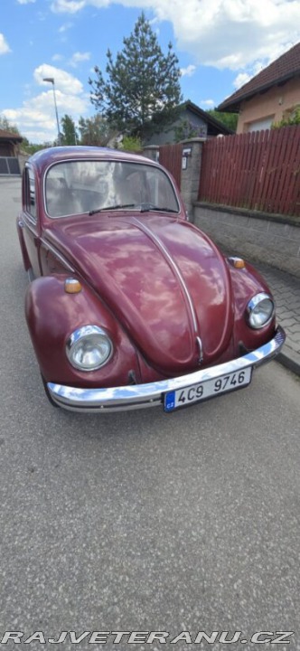 Volkswagen Brouk  1974