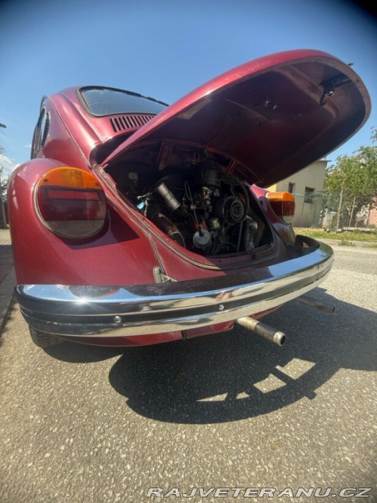 Volkswagen Brouk  1974