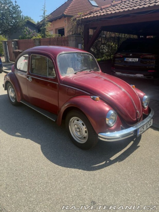 Volkswagen Brouk  1974