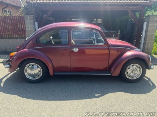 Volkswagen Brouk  1974