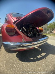Volkswagen Brouk  1974