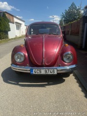 Volkswagen Brouk  1974