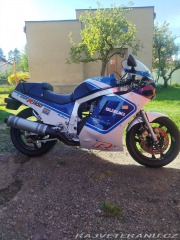 Suzuki  GSX-R 1100