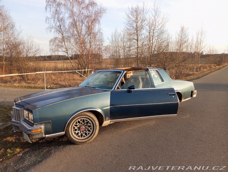 Pontiac Grand Prix Targa LJ