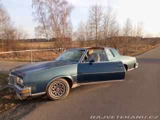 Pontiac Grand Prix Targa LJ