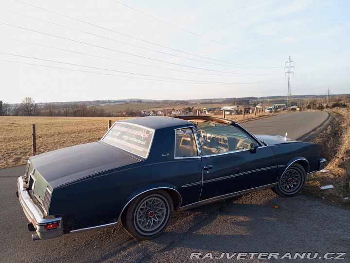 Pontiac Grand Prix Targa LJ 1979