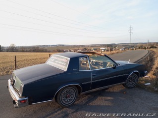 Pontiac Grand Prix Targa LJ 1979