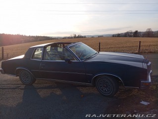 Pontiac Grand Prix Targa LJ 1979