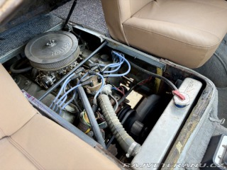 Ford Econoline Five Window Pickup Truck 1964