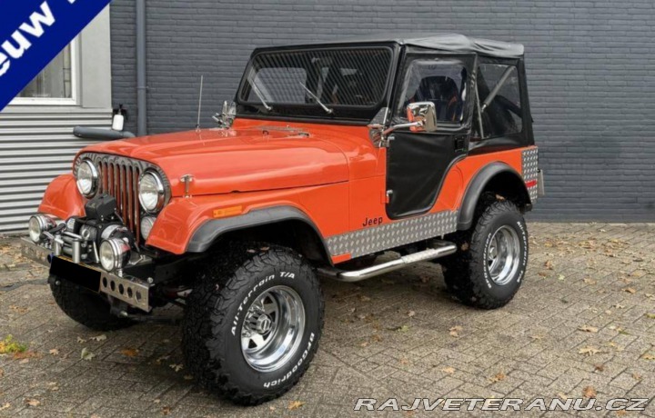 Jeep CJ CJ5 1979