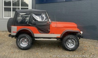 Jeep CJ CJ5 1979