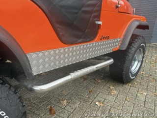 Jeep CJ CJ5 1979