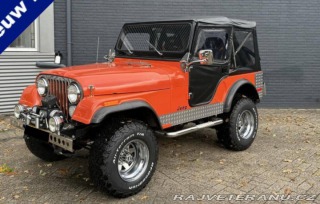 Jeep CJ CJ5 1979