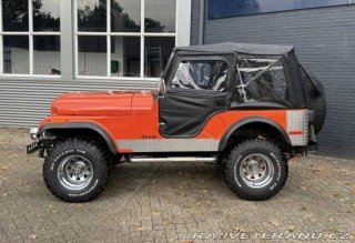Jeep CJ CJ5 1979