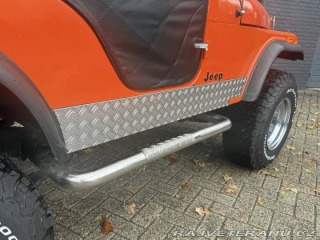 Jeep CJ CJ5 1979