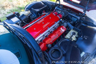 Dodge Viper TNT King Snake 1998