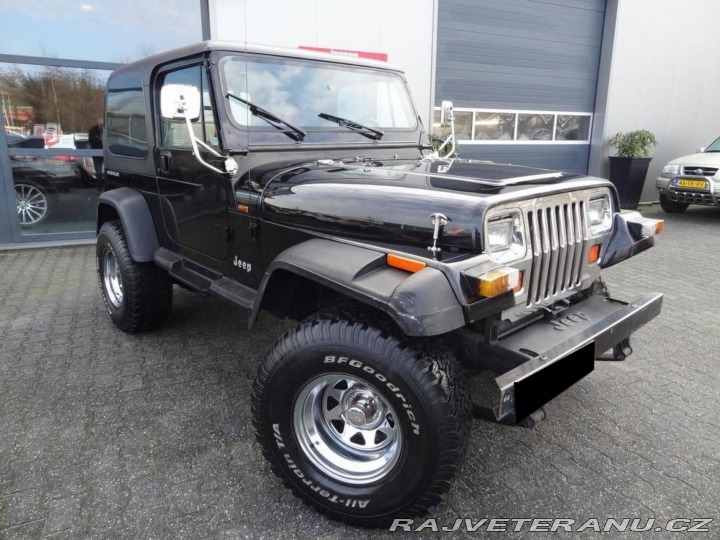 Jeep Wrangler 4.0 1993