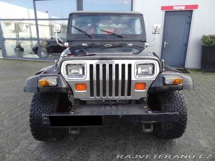 Jeep Wrangler 4.0 1993