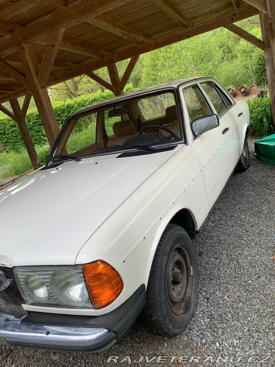 Mercedes-Benz 240 123 D 1979