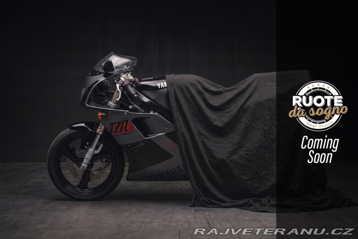 Yamaha Ostatní modely 125 TZR 1994