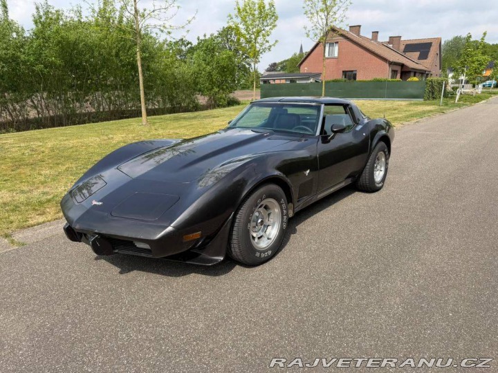 Chevrolet Corvette CORVETTE C3 454 1978