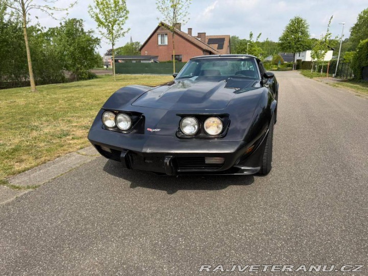 Chevrolet Corvette CORVETTE C3 454 1978