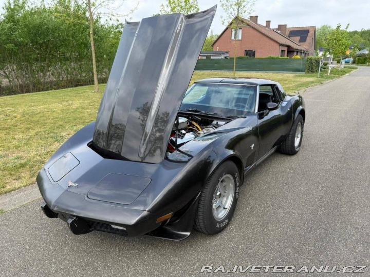 Chevrolet Corvette CORVETTE C3 454 1978